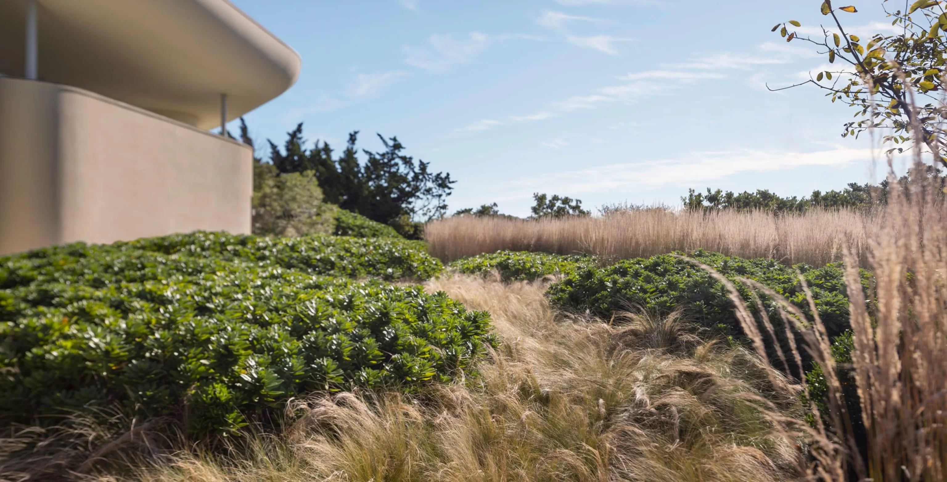 RRP - 1565 8 Bridgehampton Beach