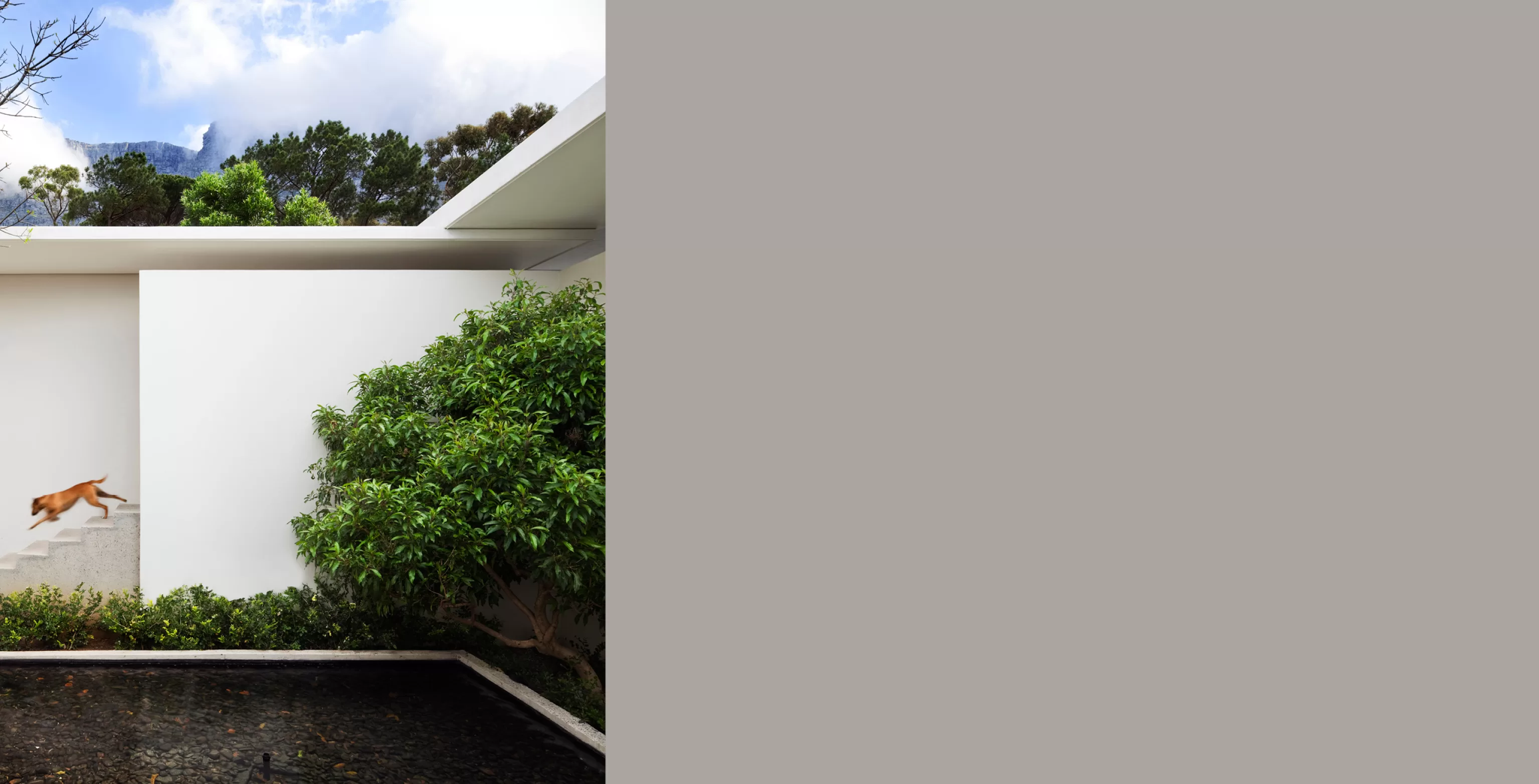 RRP - Landscape 35 B