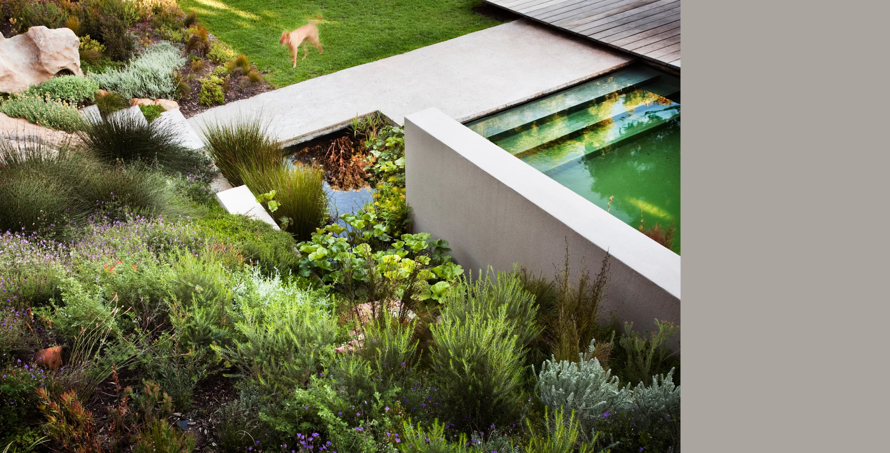 RRP - Landscape 47 B