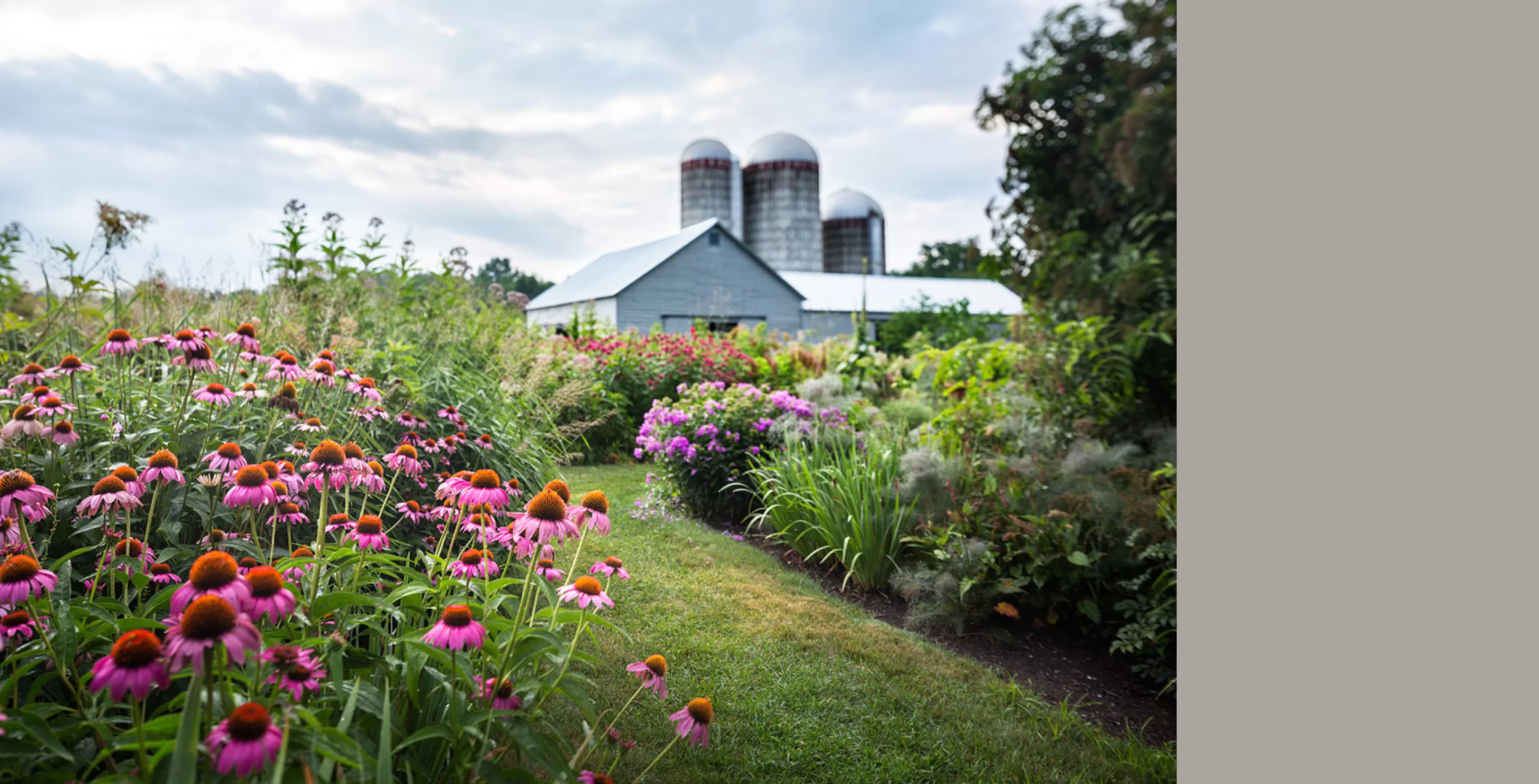 RRP - Landscape 48 B