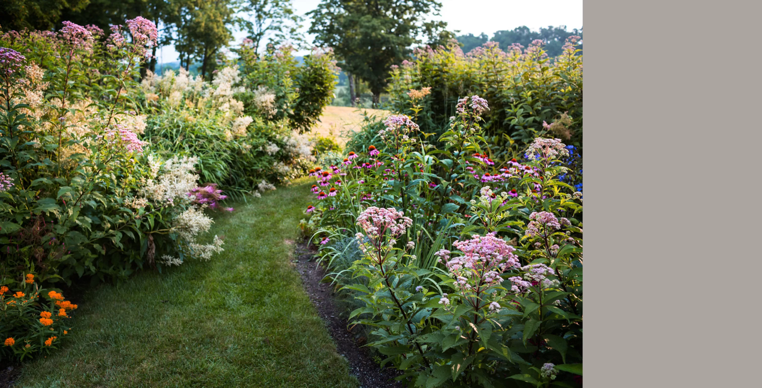 RRP - Landscape 49 B