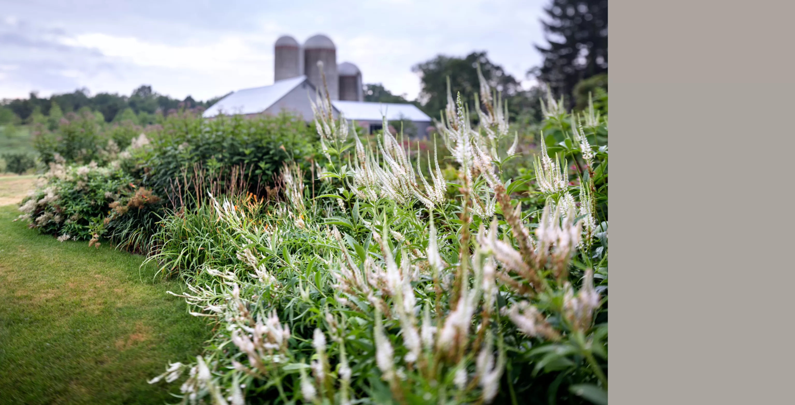 RRP - Landscape 50 B