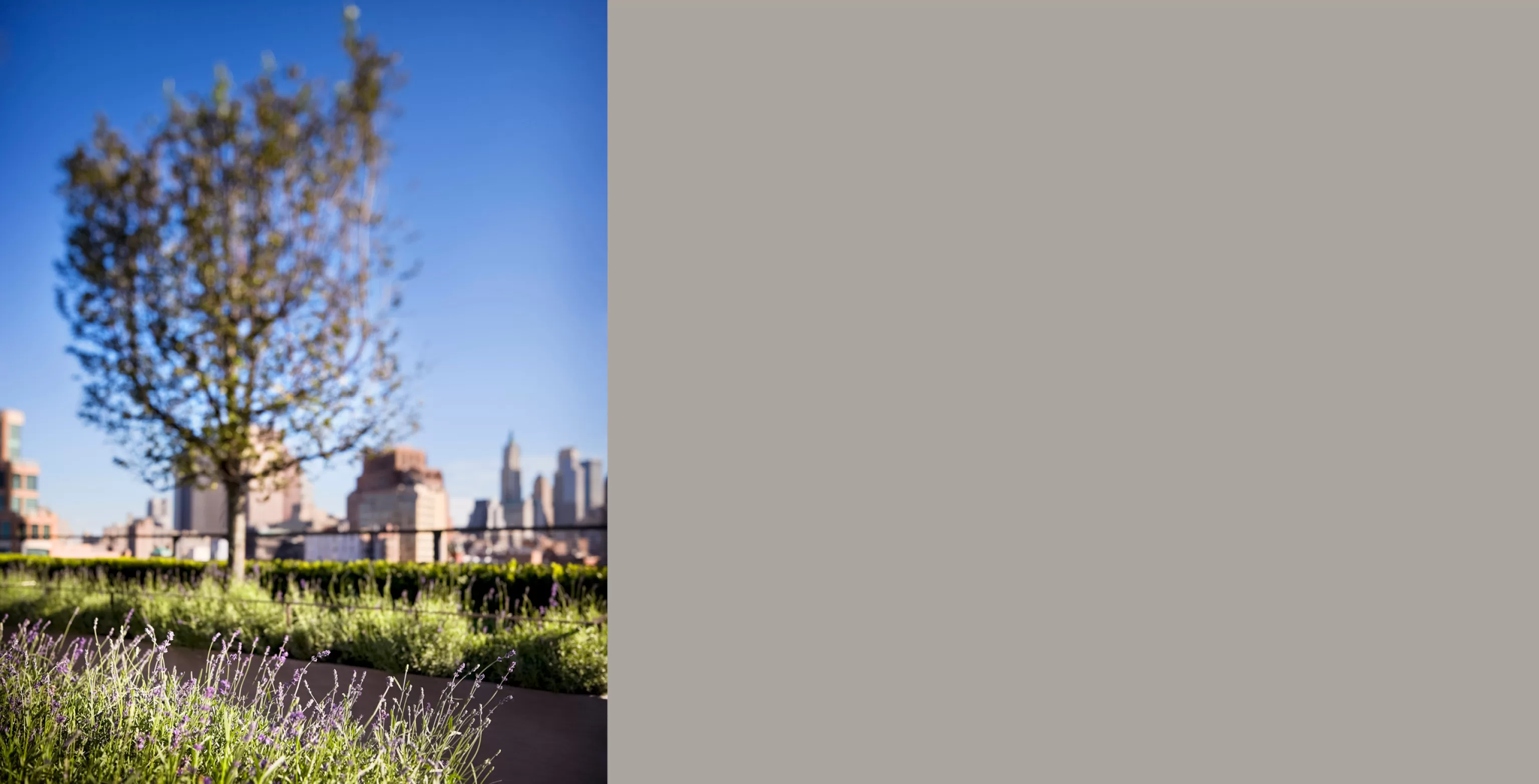 RRP - Greenwich St 05 B