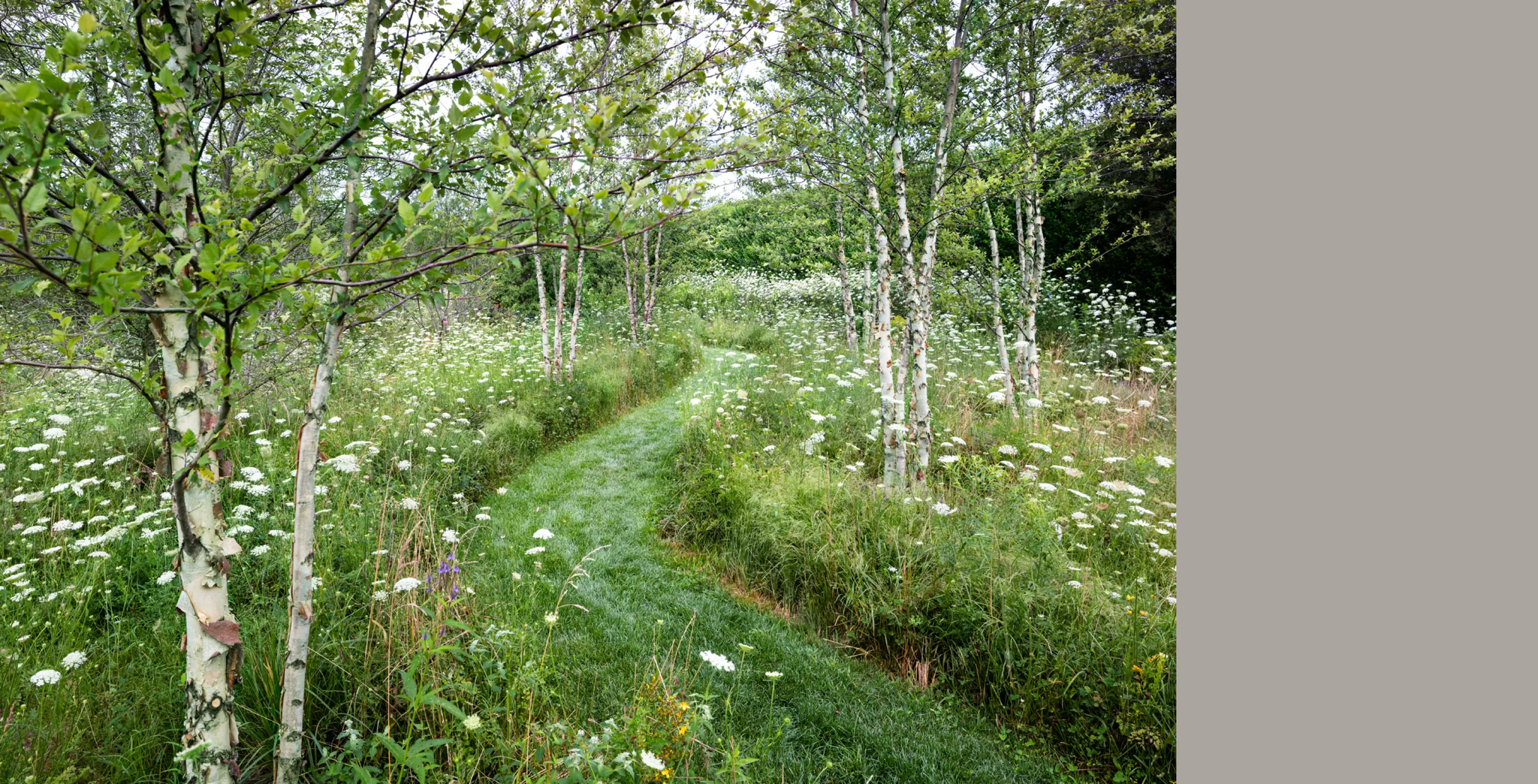 RRP - Landscape 103 B