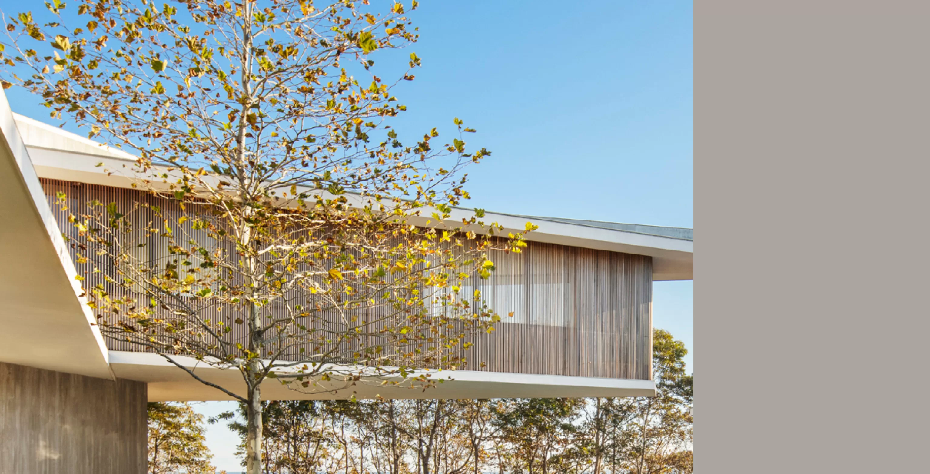 RRP - Landscape 06 B