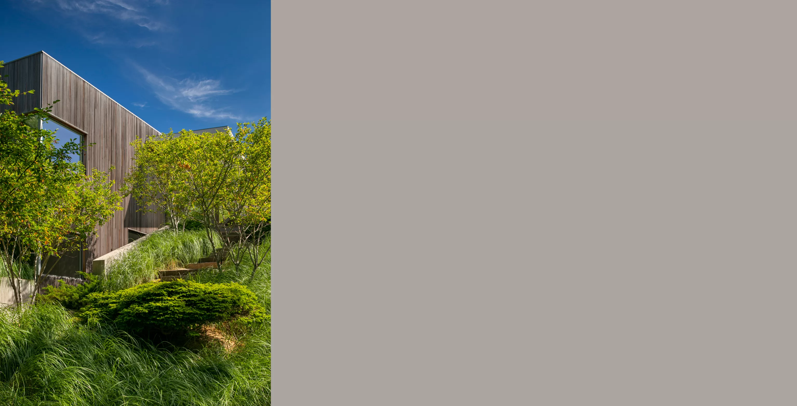 RRP - Landscape 11 B