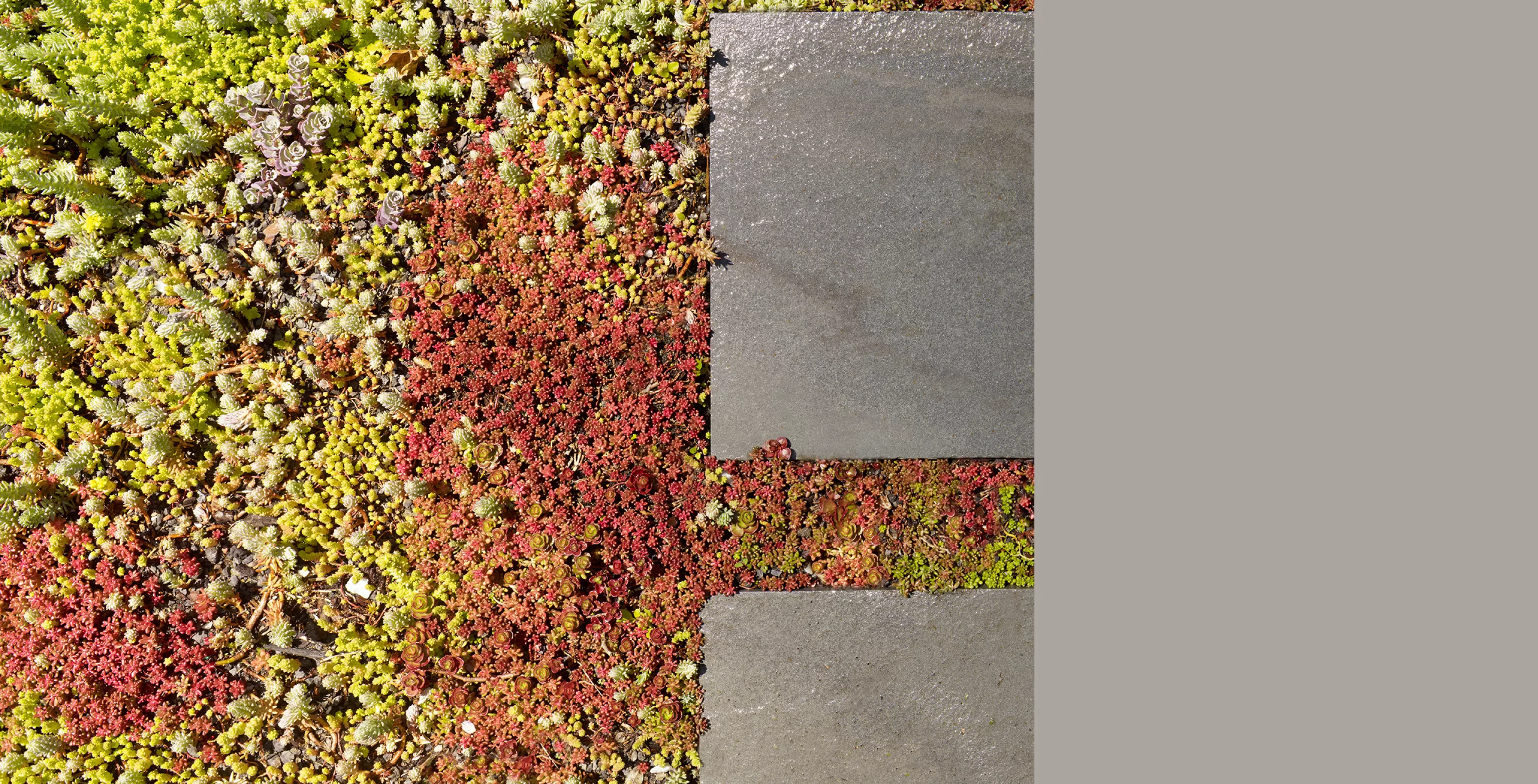 RRP - W 11th St Townhouse 07 B